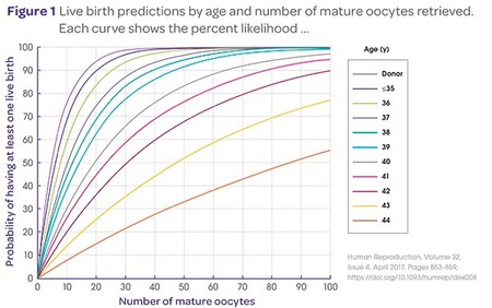 Success Rates Egg Freezing 