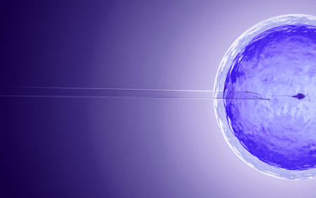 AdobeStock_207506433.png