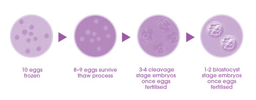 egg freezing