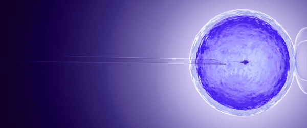AdobeStock_207506433 (1).png