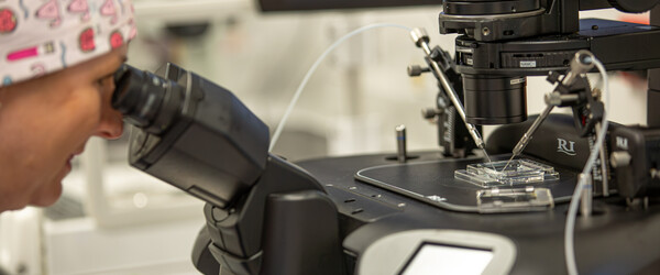 embryologist looking into microscope